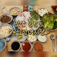 안산 고잔동 횟집 술집 방어 새우 맛집 - 윤선장어시장