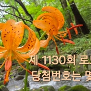 로또복권 제1130회 당첨번호는 몇 번?