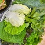 원주 단계동 맛집, 제육볶음이 맛있는 100% 유기농 쌈채소 쌈밥집 "수영쌈밥"