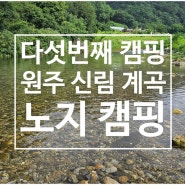 [드림렉스 캠핑카] 다섯번째 캠핑 원주 신림 계곡 노지 캠핑