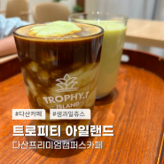 다산카페 아보카도커피 생과일쥬스맛집 트로피티아일랜드