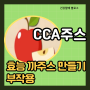 CCA 주스 효능 까주스 만들기 부작용