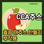 CCA 주스 효능 까주스 만들기 부작용