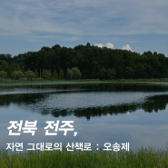 전북 전주 아이와 가볼만한곳 오송제 생태공원 반려견 산책로 편백나무숲