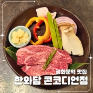 광화문역 맛집 한우 룸식당 한와담 콘코디언점 콜키지프리까지