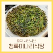 종로 젊음의거리 맛집 샤브샤브 무한리필 오리전골 오리불고기 | 청록미나리식당 종각점