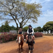 [제주도] 목장카페 밭디, 제주 서귀포 카페 승마체험, 말먹이주기, 이색 자전거 체험, 제주여행 아이와 갈 만한 곳 추천