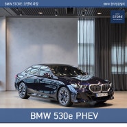 럭셔리와 친환경의 만남, BMW 530e PHEV 리뷰
