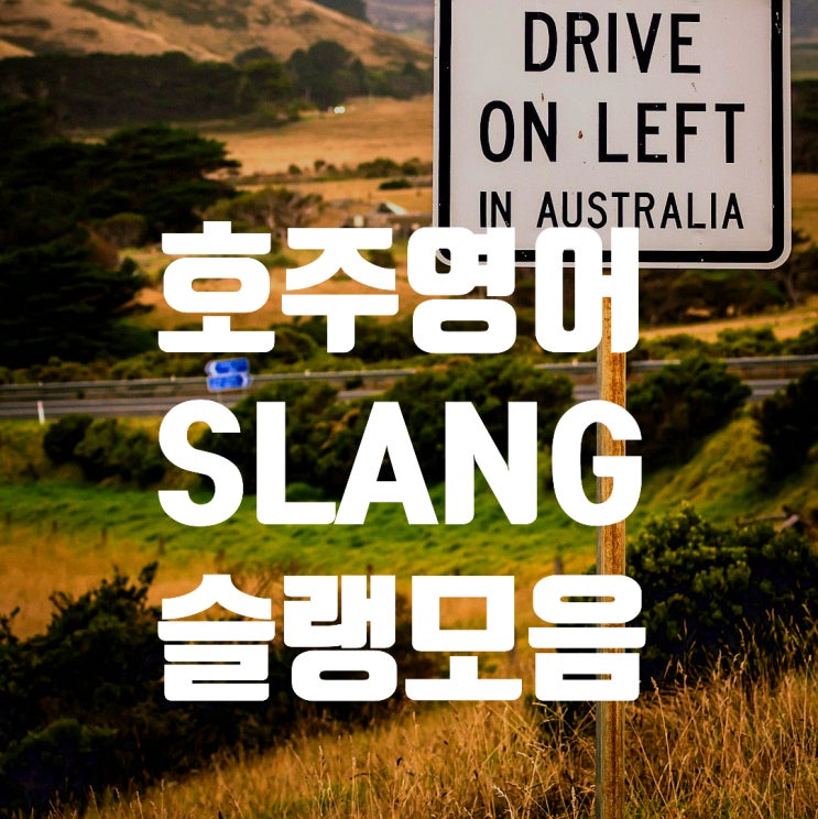[영어 공부] 호주 배우 케이트 블란쳇과 같이 배워보는 호주 슬랭 Australian Slang : 네이버 블로그