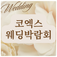 코엑스 웨딩박람회 일정 결혼 박람회 업체 사전예약 8월, 서울 수원 인천