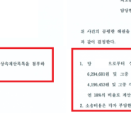 특별한정승인 절차 신청 서류 기한 등 < 총정리 >