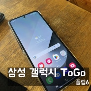 삼성 갤럭시 얼리버드 ToGo 서비스 - 얼리버드 플립6 후기
