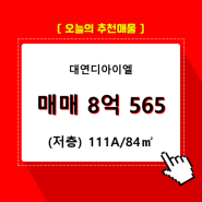 대연동 대연디아이엘 아파트분양권 207동 111A/84㎡ 매매(저/36층)