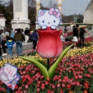 (xt30ii)에버랜드 튤립축제🌷