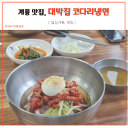 계룡 냉면 맛집 대박집 후기