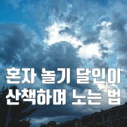 혼자 놀기의 달인이 되어가는 늙은이가 산책하며 노는 법