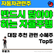 [자동차관련주] 반드시 담아야 하는 주식 종목 테슬라 자율주행 대장주 추천주 관련주 수혜주 Top5