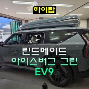 EV9 고급스러운 컬러 아이스버그 그린에 같은 컬러의 린드메이드 밀착형 루프박스 장착