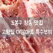 도봉구 창동 맛집 특수부위 뒷고기 고향집 대감마루 고기집