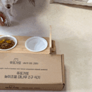 강아지밥그릇 플랜영 세라믹 높이조절 대나무 2구 식기 세트로 밥그릇 교체했어요~
