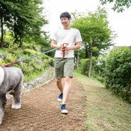 [국내 최초 반려동물 자격증] 반려동물 행동지도사 교재 선택은?