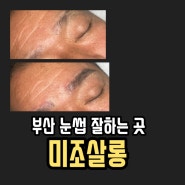 부산눈썹 남자눈썹 잘하는 미조살롱 에서 아빠눈썹 만들기ㅣ페더링 기법