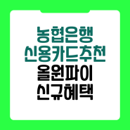 NH 농협카드 설계사 올원 파이 발급 후기
