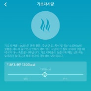 40대 여성 기초대사량 계산하기