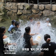 올여름 우이동계곡 백숙과 삼겹살 여름타파 (w.6fam)