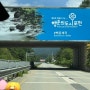 [포천] 서울인근 경기도 애견동반 백운계곡 물놀이 스팟 | 내돈내산(명당, 주차정보)