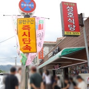 [영월] 다슬기맛집 :: 성호식당