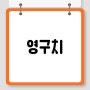 영구치가 나는 시기와 순서 개수와 결손의 문제