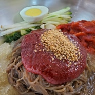 청도맛집 여름날 생각나는 시원함 삼천포냉면 청도냉면맛집