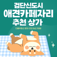 검단 신도시 애견카페 자리 안성맞춤 추천 상가 냉난방기 2대 인테리어 무권리