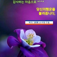 사랑의 황혼열차 영상편집/Chadj45 함께여서 고마워요