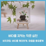 바다를 지키는 작은 실천, 비치코밍: 바다를 깨끗하게, 마음을 풍요롭게 / 송지호 관망타워