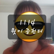 일상의 기록 일상다반사 일일일포스팅 물 건너 간다