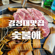 경성대고기집 숯불애 100%국내산 암퇘지 목살한판 후기