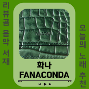 [노래/추천] 화나(FANA) - FANACONDA (듣기/가사)