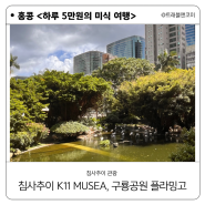 홍콩 침사추이 관광지 K11 Musea(K11 뮤제아), 구룡공원(kowloon park) 오후 편
