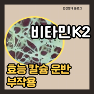 비타민 K2 효능 칼슘 운반 부작용