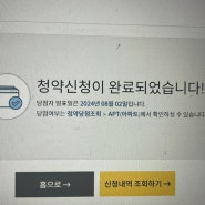 [부동산/청약일기]동탄역롯데캐슬 로또청약 무순위줍줍 도전 후기