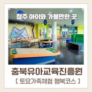 [청주] 충북유아교육진흥원 토요가족체험 행복코스(신청방법 및 후기) | 청주 아이와 가볼만한 곳, 청주 키즈카페