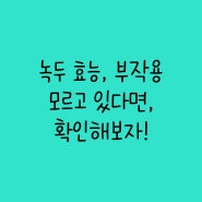 녹두 효능, 부작용 모르고 있다면, 확인해보자!