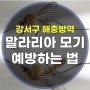 강서구 양천구 해충방역 말라리아 모기도 유입경로 차단으로 막는다?