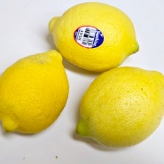 레몬 보관법 레몬수 물 만들기 씻기 씻는 법 세척방법