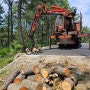 예천 전지목처리 감천면 나무 벌목 가지 뿌리 임목폐기물 폐목재처리 방법 [ 예천 5톤 집게차 작업 ]