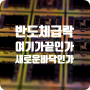 반도체 급락 사이클 조정인가 끝인가 주가전망: AI 서비스 투자 시장