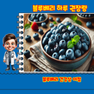 블루베리 하루 권장량과 건강에 좋은 점