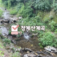 서울근교 청계산 계곡 청계냇가집 백숙 닭볶음탕
